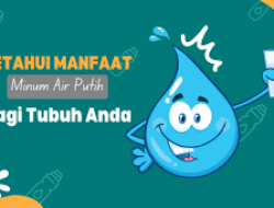 Minum Air Putih Cukup Bantu Otak Fokus dan Berat Badan Turun