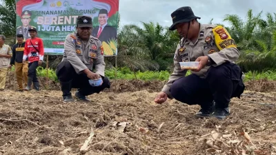 Polres Kubu Raya dan Petani Bersinergi, Satu Hektare Jagung Ditanam