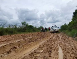 Kecelakaan Tunggal di Jalan Mutiara Kubu Raya: Satu Penumpang Tewas