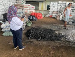 Petani Arang Desak Pemerintah Hentikan Ancaman Penghentian Produksi