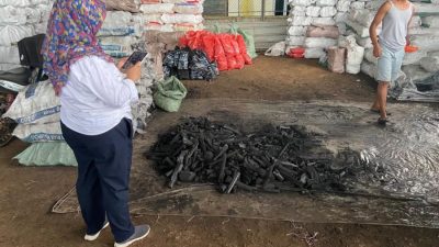 Petani Arang Desak Pemerintah Hentikan Ancaman Penghentian Produksi