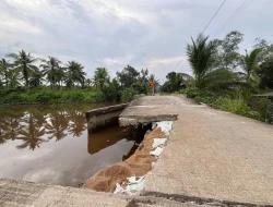 Akses Wisata Mangrove Sungai Kupah Hampir Putus, Warga Terpaksa Memutar 1 Jam