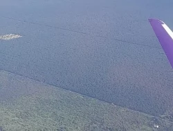 Kalimantan Tengah: Hamparan Sawit Tak Bertepi di Paru-Paru Dunia