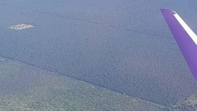 Kalimantan Tengah: Hamparan Sawit Tak Bertepi di Paru-Paru Dunia