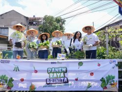 Hari Pangan Sedunia, BRI Peduli Wujudkan Ketahanan Pangan Lewat Panen Raya BRInita