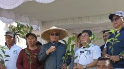 Kubu Raya Tanam Bibit Pohon Demi Kelestarian Alam