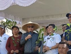 Kubu Raya Tanam Bibit Pohon Demi Kelestarian Alam