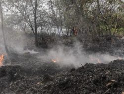 Petugas Lintang Pukang Halau Kebakaran Hutan dan Lahan